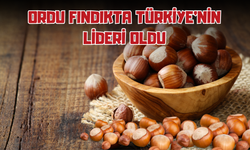 Ordu Fındıkta Türkiye'nin Lideri Oldu