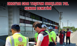 Ordu'da Gıda Taşıyan Araçlara Yol Kenarı Denetimi