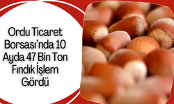 Ordu Ticaret Borsası’nda 10 Ayda 47 Bin Ton Fındık İşlem Gördü