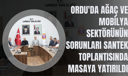 Ordu'da Ağaç ve Mobilya Sektörünün Sorunları SANTEK Toplantısında Masaya Yatırıldı