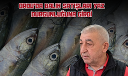 Ordu'da Balık Satışları Yaz Durgunluğuna Girdi