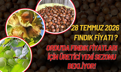 Ordu'da Fındık Fiyatları İçin Üretici Yeni Sezonu Bekliyor!