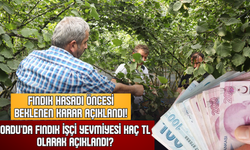 Ordu'da Fındık İşçi Yevmiyesi Kaç TL Olarak Açıklandı?
