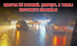 Ordu'da İki Otomobil Çarpıştı, 2 Yaralı Hastaneye Kaldırıldı