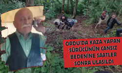 Ordu’da Kaza Yapan Sürücünün Cansız Bedenine Saatler Sonra Ulaşıldı