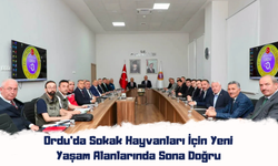 Ordu’da Sokak Hayvanları İçin Yeni Yaşam Alanlarında Sona Doğru
