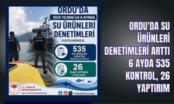 Ordu'da Su Ürünleri Denetimleri Arttı: 6 Ayda 535 Kontrol, 26 Yaptırım