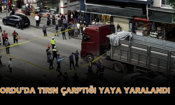 Ordu'da Tırın Çarptığı Yaya Yaralandı