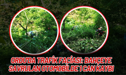 Ordu'da Trafik Faciası: Bahçeye Savrulan Otomobilde 1 Can Kaybı