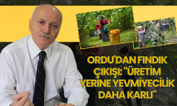 Ordu'dan Fındık Çıkışı: "Üretim Yerine Yevmiyecilik Daha Karlı"
