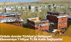 Ordulu Arıcılar Türkiye'yi Dolaşıyor! Ekonomiye 7 Milyar TL'lik Katkı Sağlıyorlar