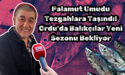 Palamut Umudu Tezgâhlara Taşındı! Ordu'da Balıkçılar Yeni Sezonu Bekliyor
