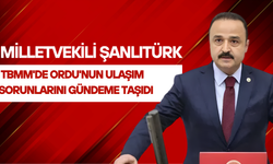 Şanlıtürk TBMM'de Ordu'nun Ulaşım Sorunlarını Gündeme Taşıdı