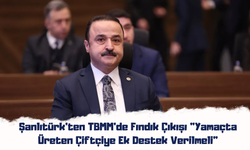 Şanlıtürk'ten TBMM'de Fındık Çıkışı: "Yamaçta Üreten Çiftçiye Ek Destek Verilmeli"