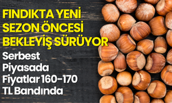 Fındıkta Yeni Sezon Öncesi Bekleyiş Sürüyor: Serbest Piyasada Fiyatlar 160-170 TL Bandında