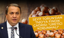 Seyit Torun'dan TMO'ya Fındık Çağrısı: "Üretici Korunmalı"