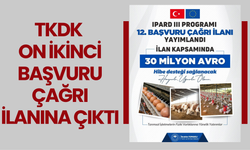 TKDK On İkinci Başvuru Çağrı İlanına Çıktı