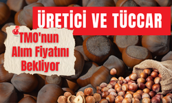 Üretici ve Tüccar TMO'nun Alım Fiyatını Bekliyor