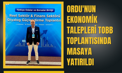 Ordu'nun Ekonomik Talepleri TOBB Toplantısında Masaya Yatırıldı
