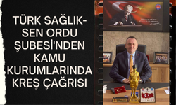 Türk Sağlık-Sen Ordu Şubesi'nden Kamu Kurumlarında Kreş Çağrısı