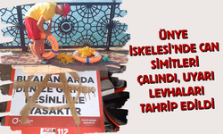 Ünye İskelesi'nde Can Simitleri Çalındı, Uyarı Levhaları Tahrip Edildi