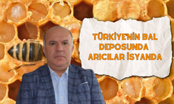 Türkiye'nin Bal Deposunda Arıcılar İsyanda