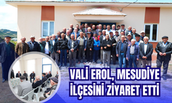 Vali Erol, Mesudiye İlçesini Ziyaret Etti