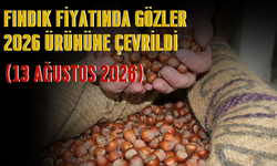 Fındık Fiyatında Gözler 2026 Ürününe Çevrildi (13 Ağustos 2026)
