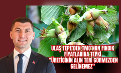 ULAŞ TEPE'DEN TMO'NUN FINDIK FİYATLARINA TEPKİ: "ÜRETİCİNİN ALIN TERİ GÖRMEZDEN GELİNEMEZ"
