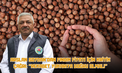 Arslan Soydan’dan Fındık Fiyatı İçin Kritik Çağrı: “Rekabet Yukarıya Doğru Olmalı”