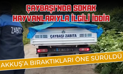 ÇAYBAŞI’NDA SOKAK HAYVANLARIYLA İLGİLİ İDDİA: AKKUŞ’A BIRAKTIKLARI ÖNE SÜRÜLDÜ