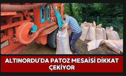Altınordu’da Patoz Mesaisi Dikkat Çekiyor