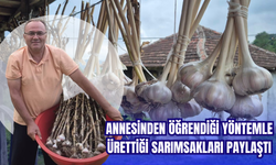 Annesinden Öğrendiği Yöntemle Ürettiği Sarımsakları Paylaştı