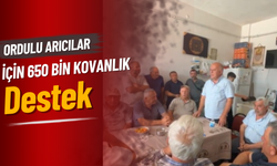 Ordulu Arıcılar İçin 650 Bin Kovanlık Destek