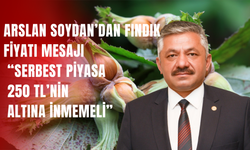 Arslan Soydan’dan Fındık Fiyatı Mesajı: “Serbest Piyasa 250 TL’nin Altına İnmemeli”