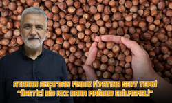 Atakan Akça’dan Fındık Fiyatına Sert Tepki: “Üretici Bir Kez Daha Mağdur Edilmemeli”