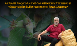 ATAKAN AKÇA'DAN TMO'YA FINDIK FİYATI TEPKİSİ: "ÜRETİCİNİN ÖLÜM FERMANINI İMZALADINIZ"