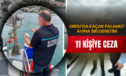 Ordu’da Kaçak Palamut Avına Sıkı Denetim: 11 Kişiye Ceza