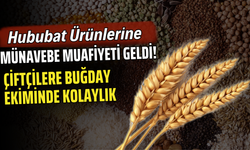 Hububat Ürünlerine Münavebe Muafiyeti Geldi! Çiftçilere Buğday Ekiminde Kolaylık