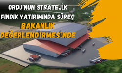 Ordu'nun Stratejik Fındık Yatırımında Süreç Bakanlık Değerlendirmesinde
