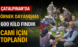 Çatalpınar’da Örnek Dayanışma: 600 Kilo Fındık Cami İçin Toplandı