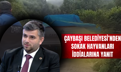 Çaybaşı Belediyesi’nden Sokak Hayvanları İddialarına Yanıt