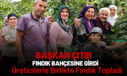Başkan Çıtır Fındık Bahçesine Girdi: Üreticilerle Birlikte Fındık Topladı