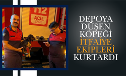 Depoya Düşen Köpeği İtfaiye Ekipleri Kurtardı