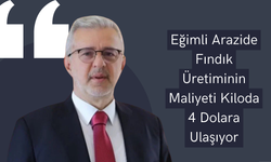 Eğimli Arazide Fındık Üretiminin Maliyeti Kiloda 4 Dolara Ulaşıyor