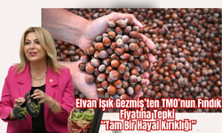 Elvan Işık Gezmiş’ten TMO’nun Fındık Fiyatına Tepki: “Tam Bir Hayal Kırıklığı”