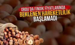 Ordu’da Fındık Fiyatlarında Beklenen Hareketlilik Başlamadı