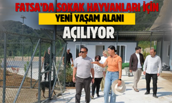 Fatsa’da Sokak Hayvanları İçin Yeni Yaşam Alanı Yarın Açılıyor