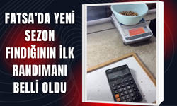 Fatsa’da Yeni Sezon Fındığının İlk Randımanı Belli Oldu