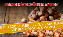 Karadeniz’de Gözler TMO’da: Üretici 300 TL Bekliyor, Uzmanlardan Serbest Piyasa Uyarısı